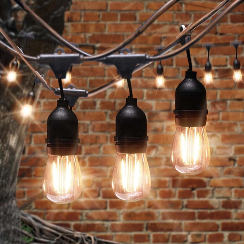 LED Festoon Lights - Exclusive Holiday Deal!